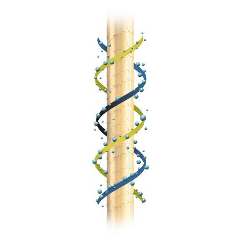 molecule